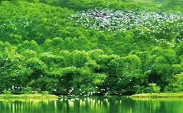 环境演讲稿800字6篇