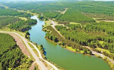 新的环境新的感受作文5篇