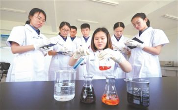 化验工作总结个人范文8篇