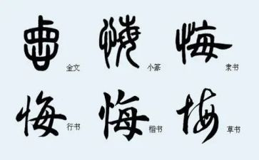 悔的作文500字6篇
