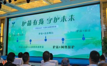 2024年护苗行动观后感优秀8篇