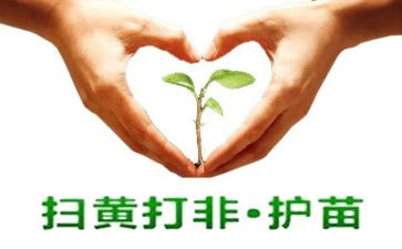 护苗网络安全课观后感5篇