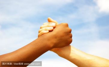 文化墙活动方案优质5篇