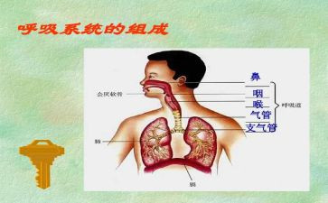 呼吸内科护士心得5篇
