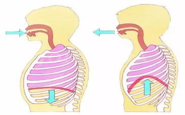 呼吸内科工作计划5篇