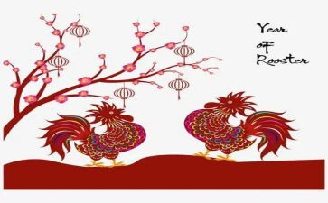 中班母鸡下蛋教案6篇