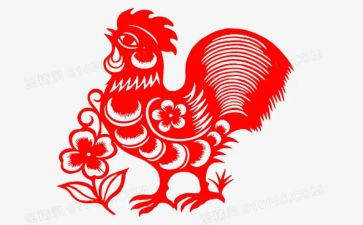 鸡的读后感300字通用8篇