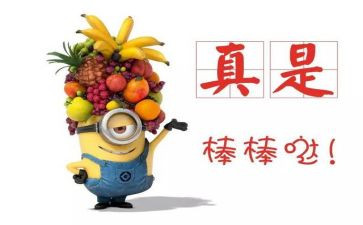 教师获嘉奖主要事迹5篇