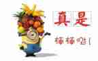 教师获嘉奖主要事迹5篇