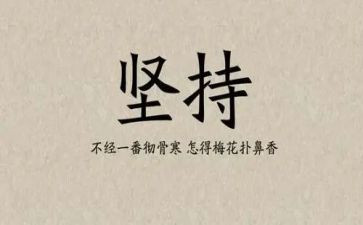 坚持的心得体会8篇