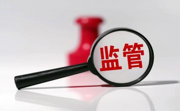 监管站个人总结范文8篇
