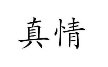 雨中见真情作文7篇
