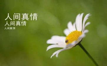让真情流露自然作文优质6篇