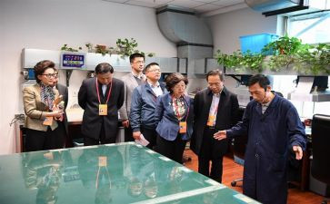 社区监委会主任述职报告7篇