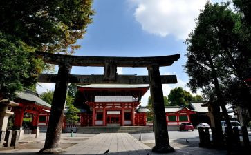 2023春节见闻作文模板8篇