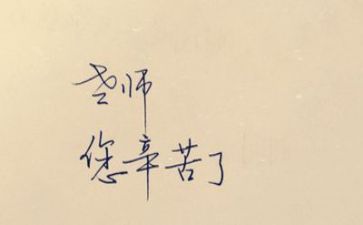 2024年教师工作年度总结优秀5篇