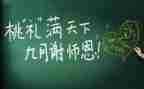2024年教师工作年度总结精选5篇
