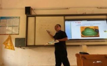 2024年教研个人总结范文8篇