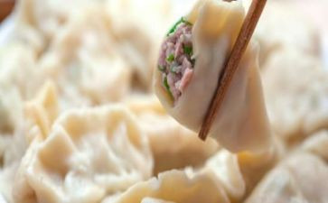 尝饺子的作文参考6篇