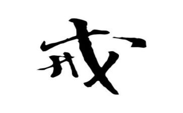 戒酒令心得体会5篇