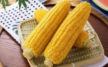 拨玉米作文模板7篇