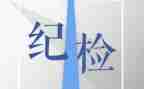 院纪检部的工作总结6篇