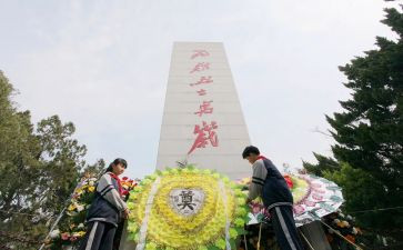 清明祭烈士活动总结8篇