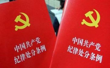 纪律部年度总结7篇