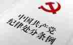 2024年纪律教育月活动总结8篇