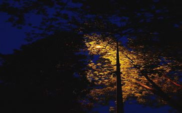 静文化的作文8篇