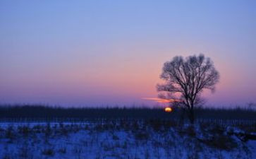 静文化的作文精选8篇