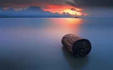 静文化作文800字精选5篇