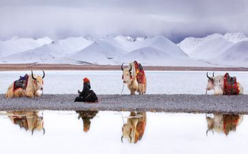 关于静文化的作文推荐6篇