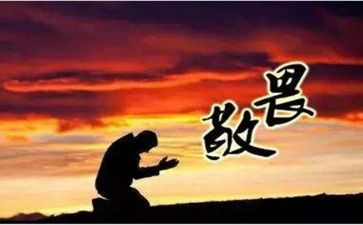 我敬畏您作文6篇