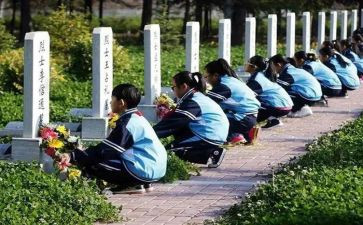 清明祭扫教案7篇