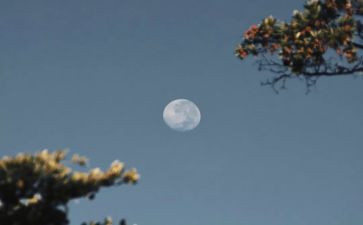 九月质量月活动总结7篇
