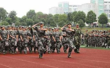 军训生活作文优秀7篇