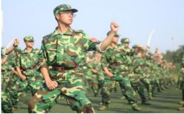 军训感悟及心得体会最新8篇