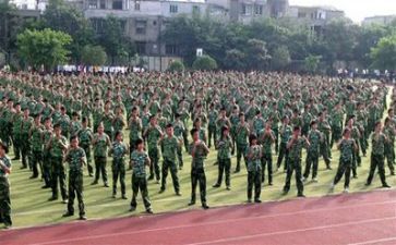 军训十二天心得体会推荐6篇