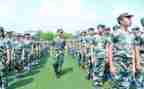 军训后感作文模板8篇