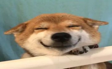 ____我真开心作文7篇