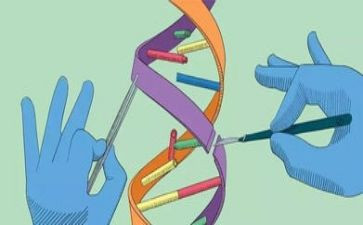 幼儿小班科学活动教案7篇