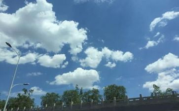 有关空气污染的调查报告6篇