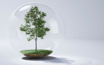 找空气教学反思8篇