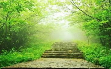 文化苦旅心得体会5篇