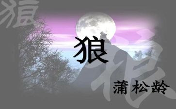 《狼》的读后感600字参考5篇