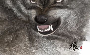 《狼》读后感300字最新8篇
