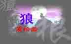 《狼》的读后感600字模板8篇