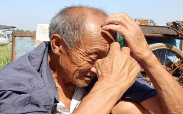 老人读后感300字7篇