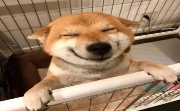 幼儿园小班音乐教案模板6篇